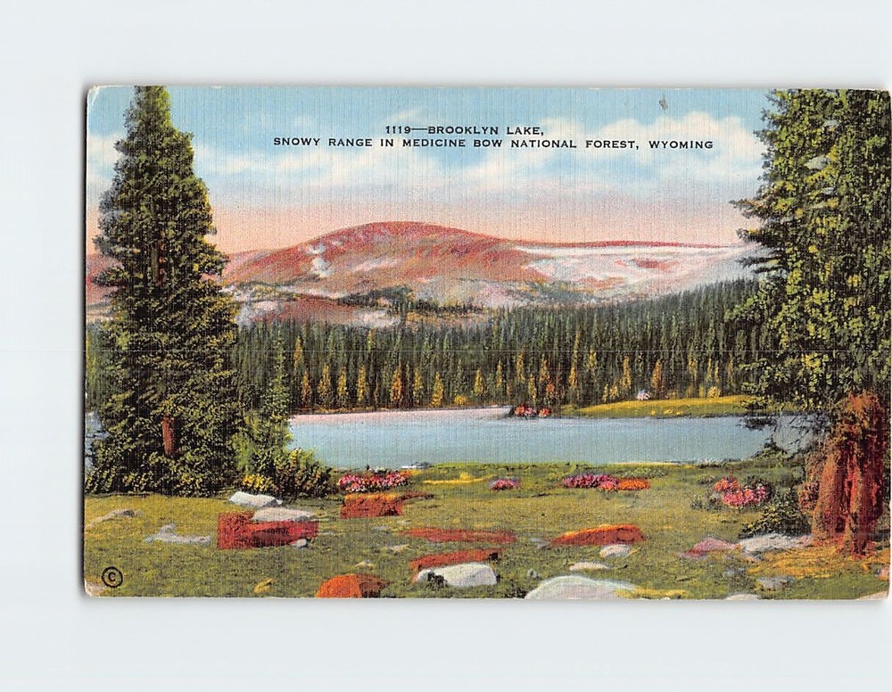 Postcard Brooklyn Lake Snowy Range In Medicine Bow National Forest Wyoming USA
