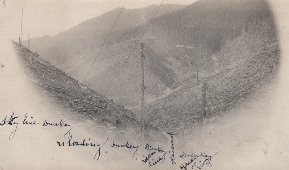 somewhere near Seattle WA Washington ~ Donkey logging rig lines 2 old photos