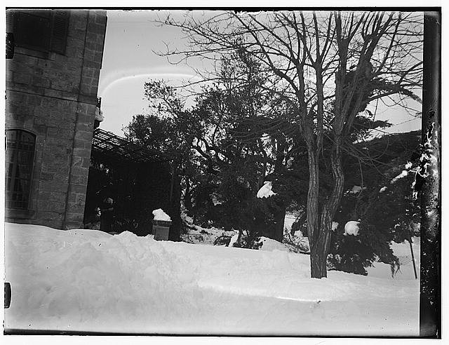 Snow in Jerusalem,1921. Snow,trees,Middle East,Winter Time,Matson Photo
