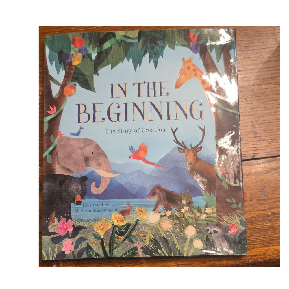 Parragon In the Beginning: Story of Creation Rachel Elliot Mastrangelo 2017
