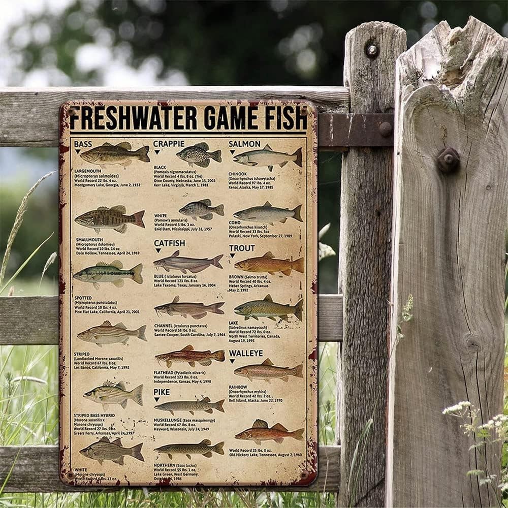 Vintage Fishing Wall Decor Sign Freshwater Game Fish Metal Rustic Cabin Lake New