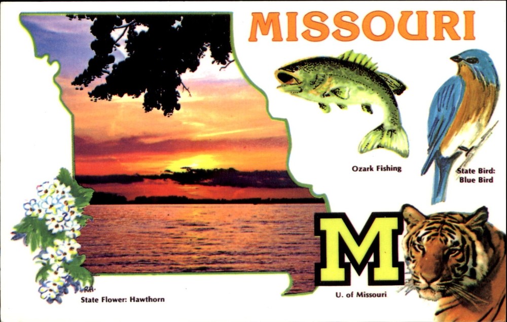 MISSOURI state flower hawthorn blue bird fish tiger ~ 1960s