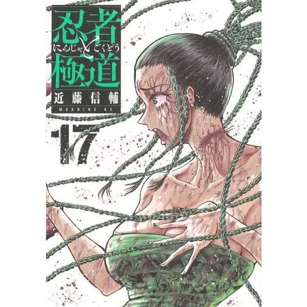 Ninja and Yakuza 17 Morning KC Comic Japan Import Official Excellent Used