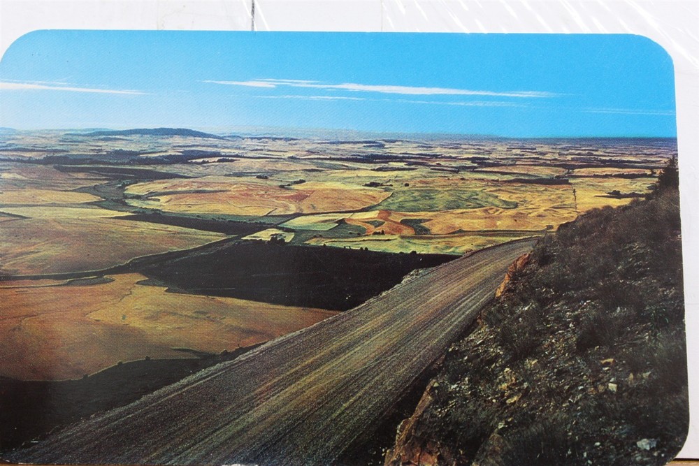 Washington WA Colfax Idaho ID Moscow Palouse Country Steptoe Butte Postcard Old