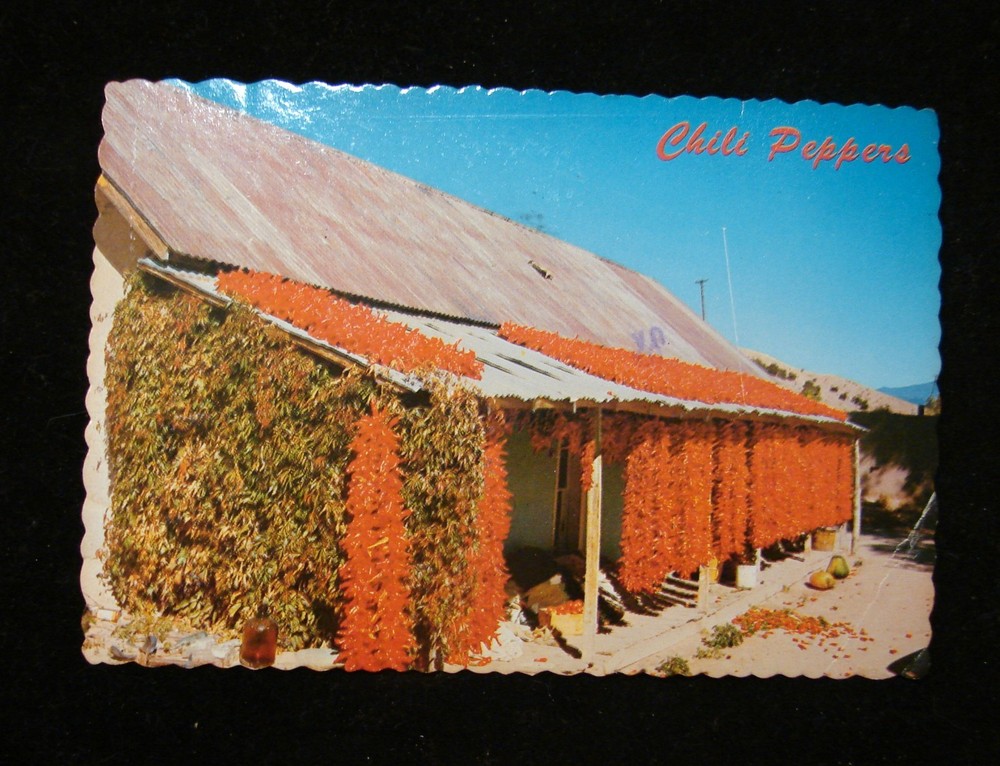 Vintage Chrome Postcard 