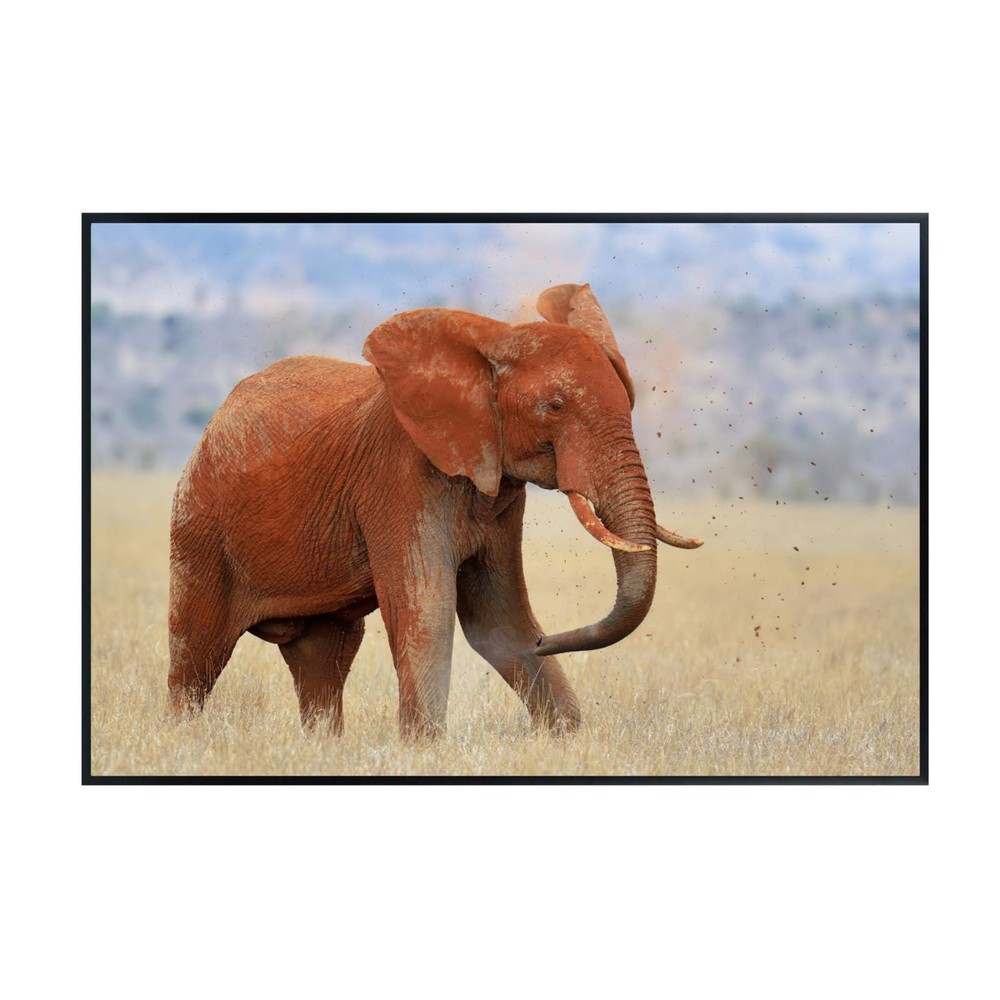 Red Elephant Running Wildlife Art Print – Safari Animal Poster Home Decor
