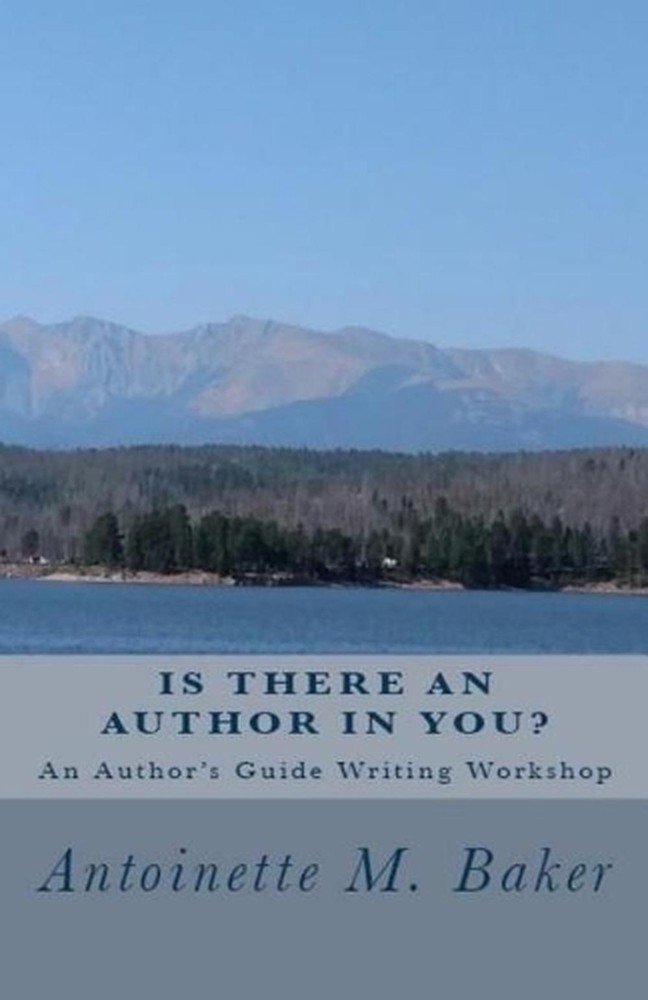 Is There An Author In You?: An Author's Guide Writing Workshop by Melanie A. Bro