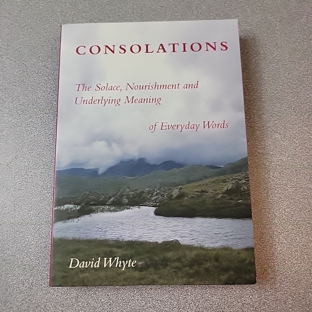 Consolations: The Solace, Nourishment and Underlying Meaning of Everyday Words