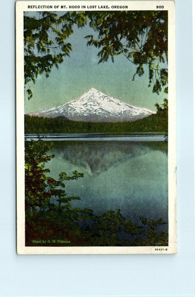 Postcard - Reflection Of Mount Hood In Lost Lake - Oregon