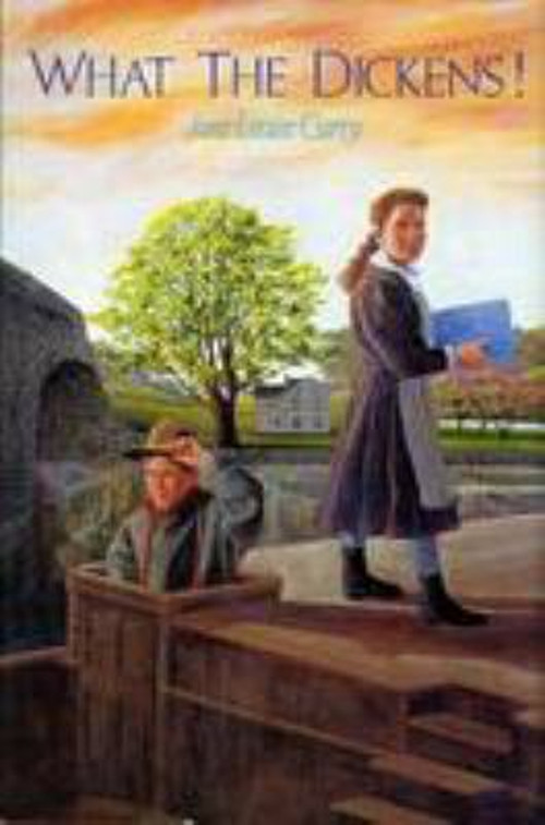 What the Dickens! Hardcover Jane Louise Curry