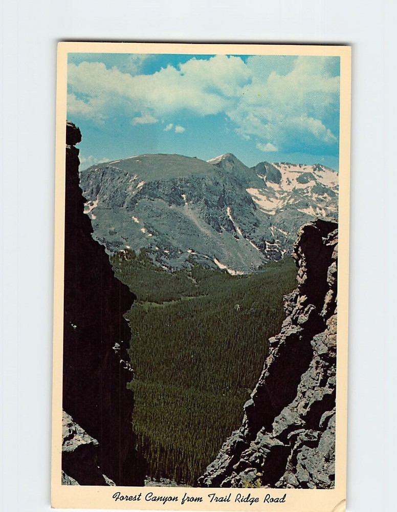 Postcard Forest Canyon from Trail Ridge Road, Rocky Mountain National Park, CO