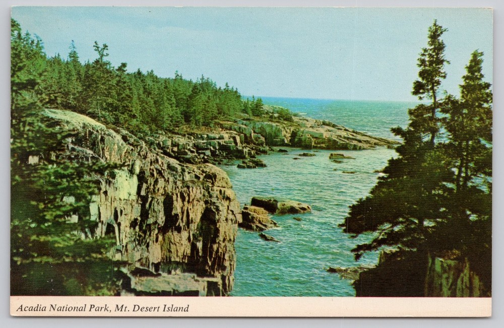 Acadia National Park Schoodic Point Maine Chrome Postcard Unused-image