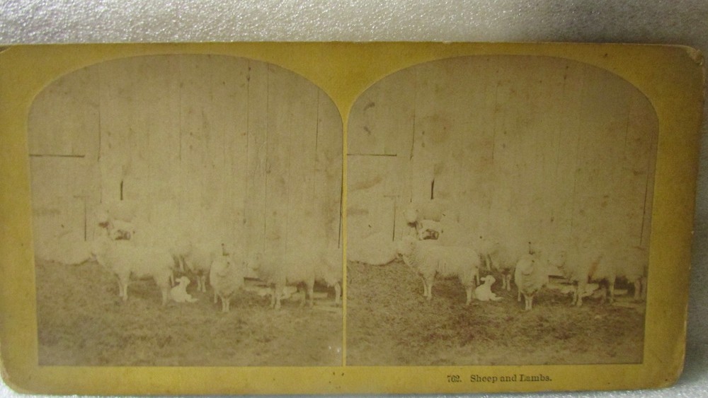 Stereoscopic Views by Kilburn Brothers of Littleton, NH - set of two