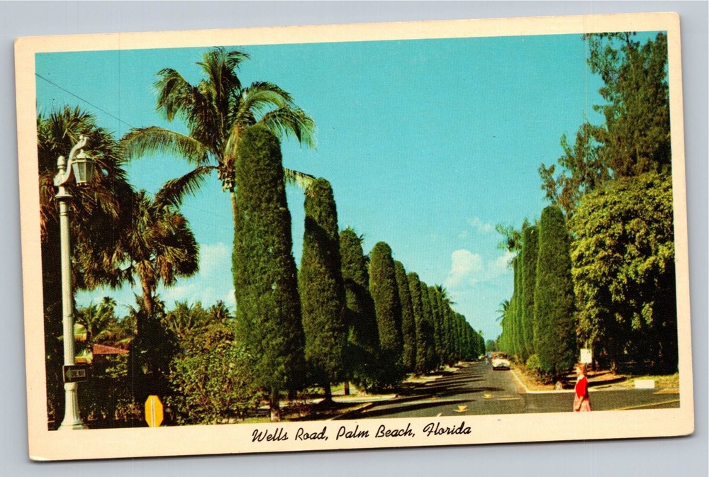 Vintage Wells Road Palm Beach Florida Curteichcolor Postcard