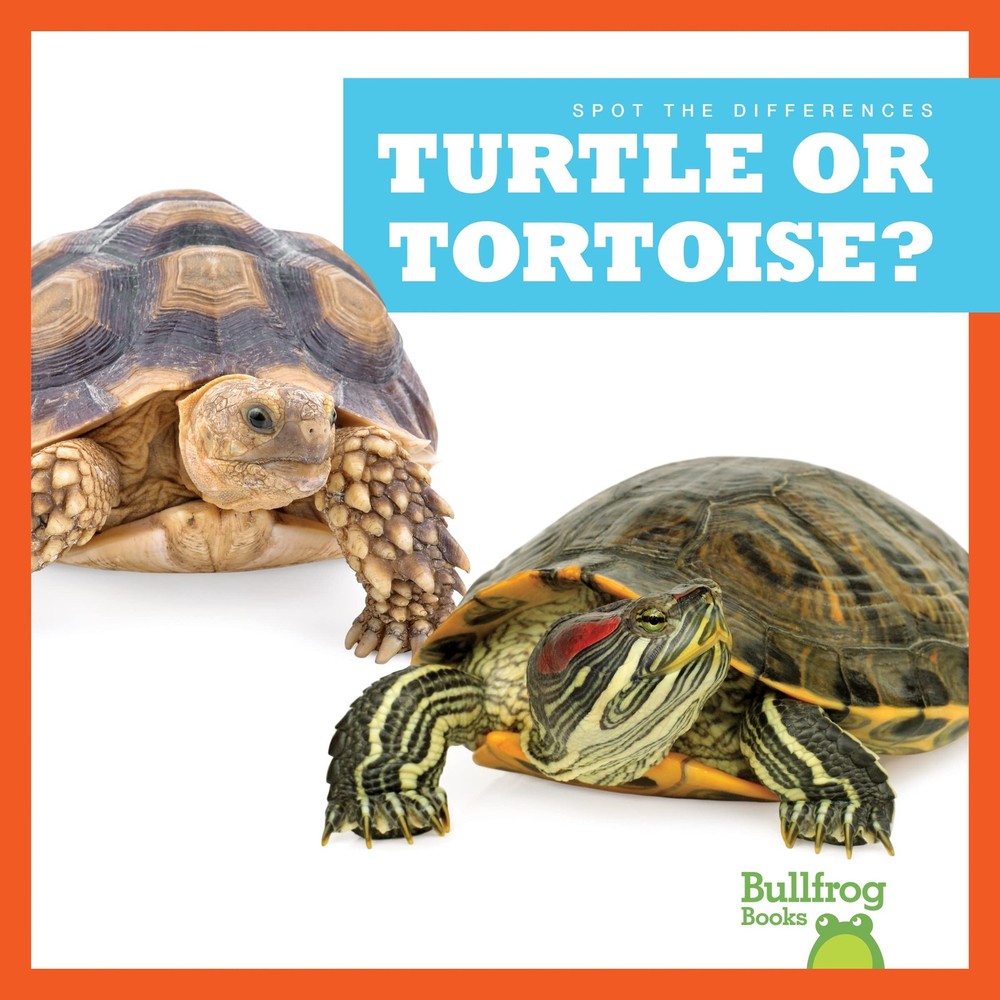Turtle or Tortoise? (Bullfrog Books: Spot the Differences)
