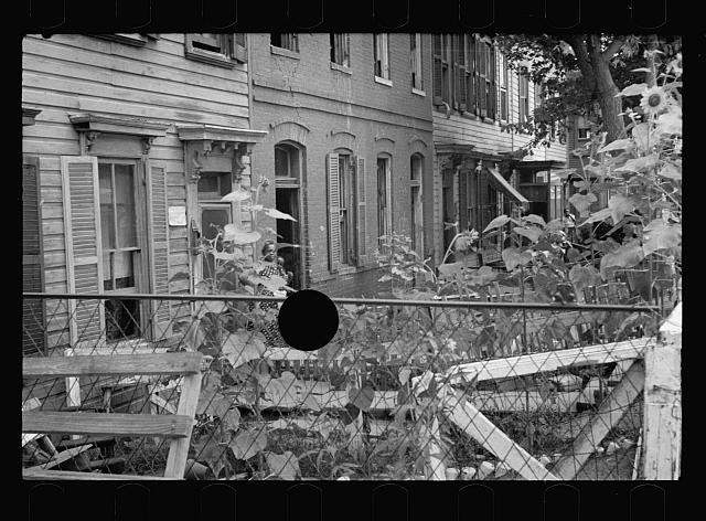 Washington DC Slum Front Yard Playground Children 1935 Neighborhood Yard