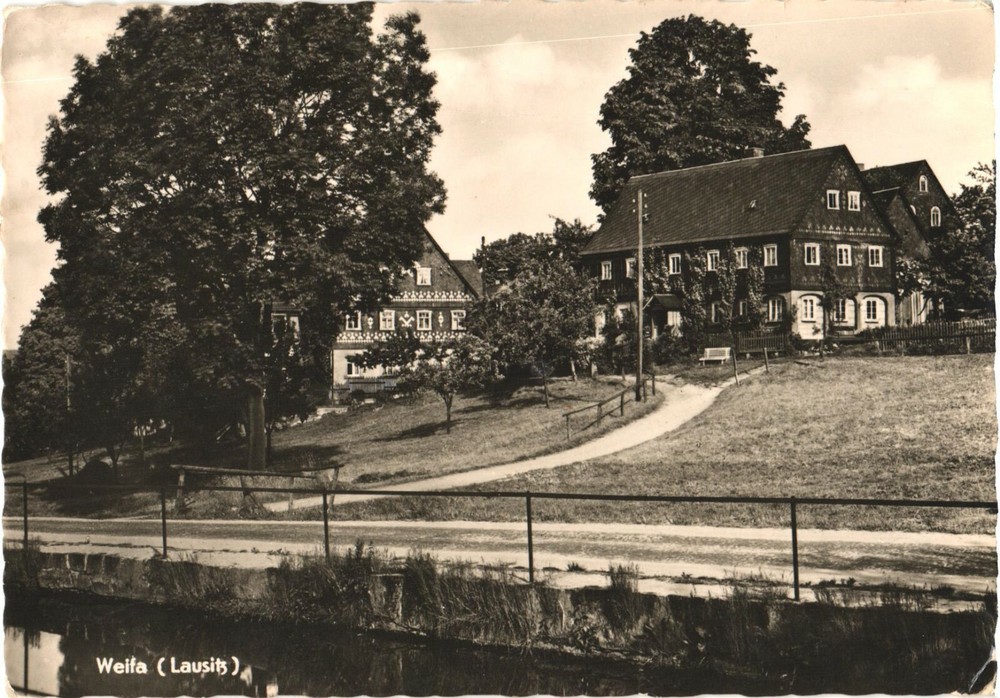 View of Big Trees And Houses, Weifa, Forst, Brandenburg, Germany Postcard