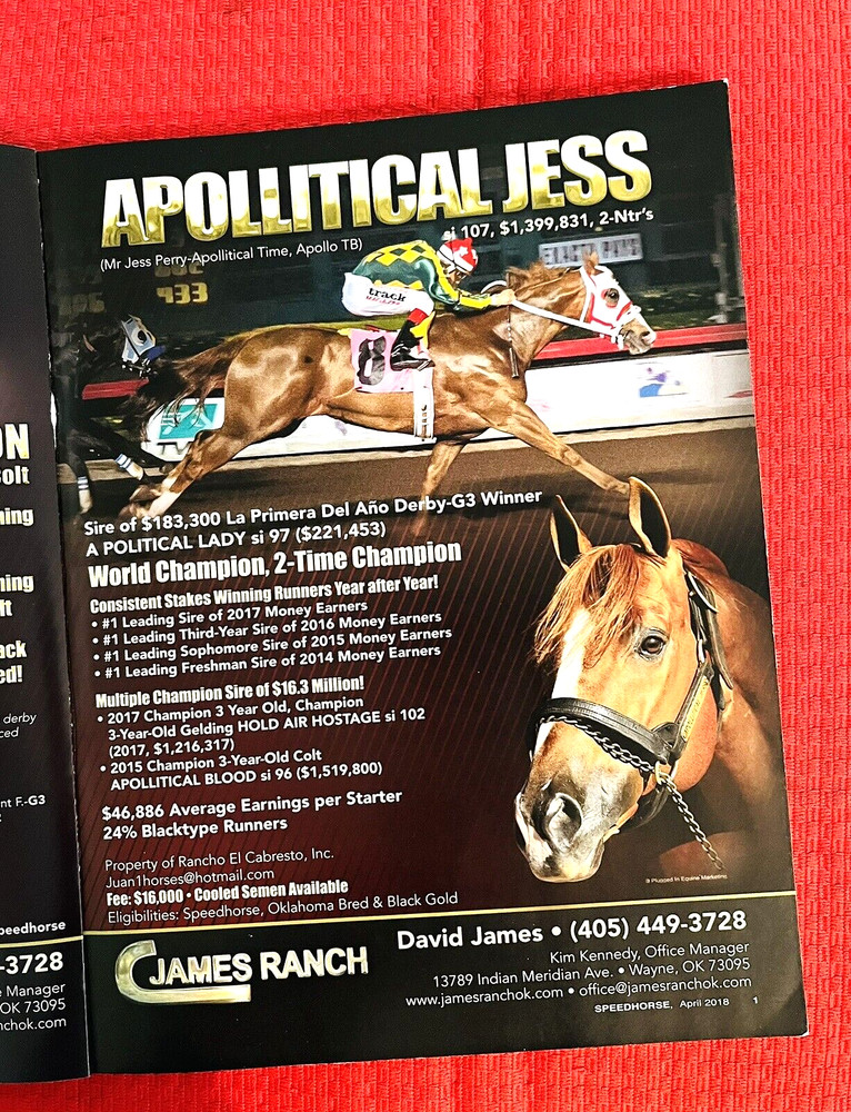 SPEEDHORSE Quarter Horse Racing, CORONA CARTEL Article! KING RANCH, journal book