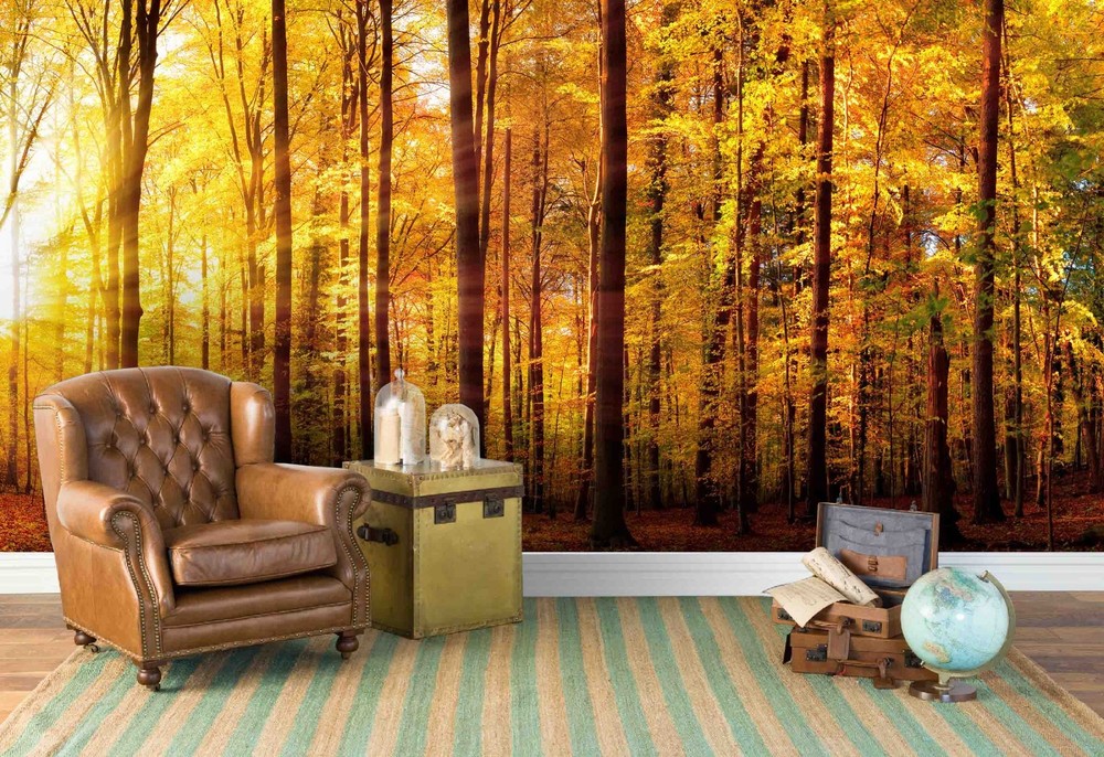 3D Forest Sunshine Autumn Landscape Wall Murals Wallpaper Murals Wall Sticker 3