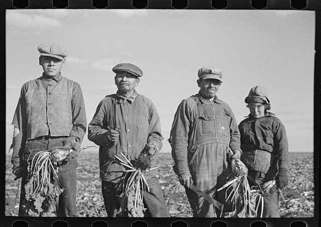 Mexican sugar beet worker's family near East Grand Forks,Minnesota,MN,FSA,1937