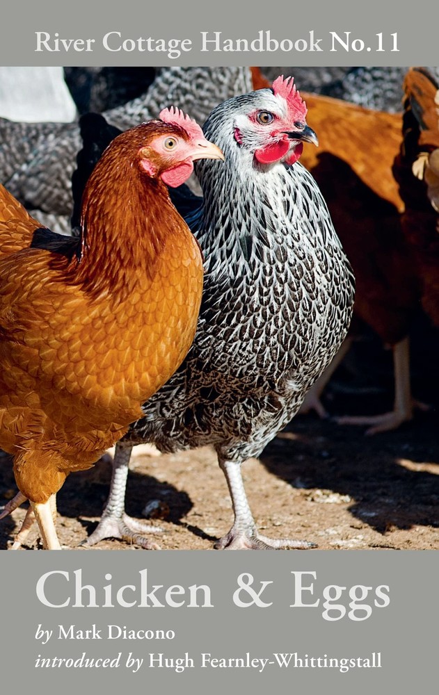 Chicken & Eggs: River Cottage Handbook No.11 by Diacono