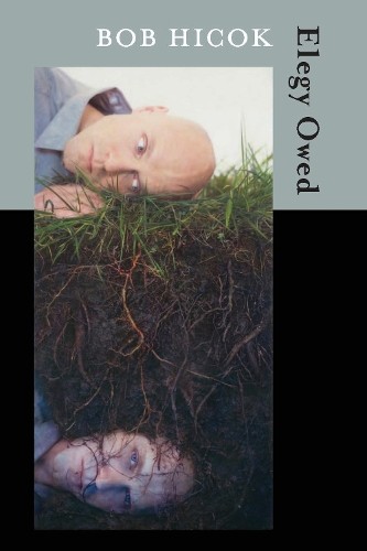 Bob Hicok Elegy Owed (Paperback)Another great item from Rarewaves USA | Free delivery!