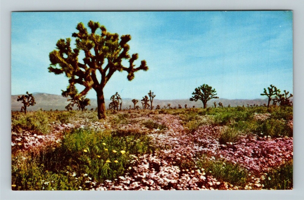 Field Flowers Trees Scenic Nature Plants And Flowers, Vintage Postcard