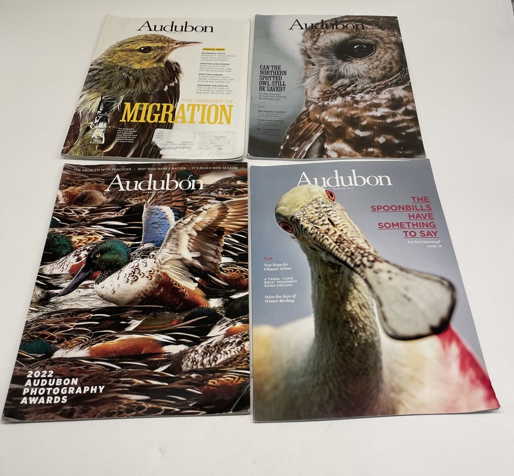 Audubon Magazines 2022 Lot of 4 issues Birds Animals Wildlife