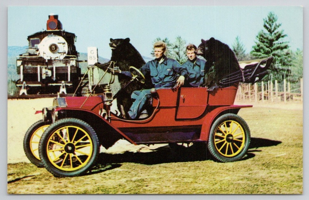 Clark's Trading Post Bears & 1909 Ford New Hampshire Postcard