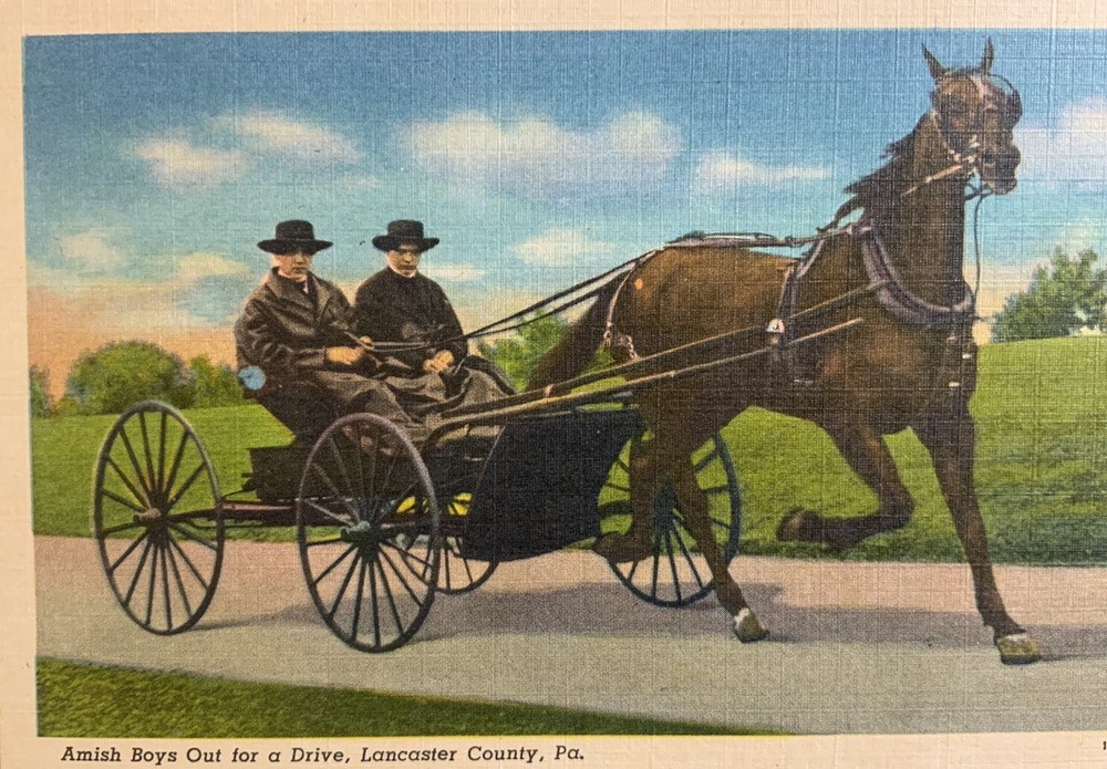 Amish Boys of Lancaster County, PA 1940s Vintage Linen Postcard Unposted