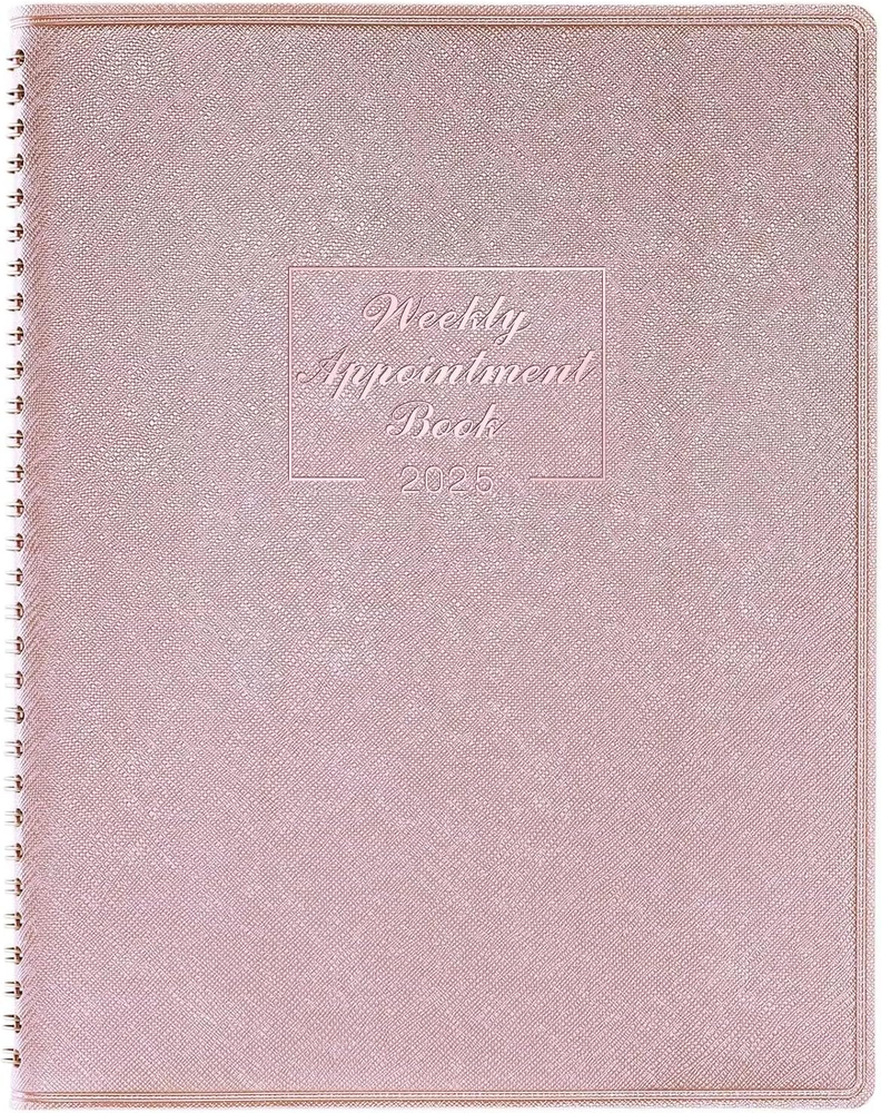 2025 Weekly Appointment Book - JAN 2025 - DEC 2025, Daily Hourly Planner 2025, 8