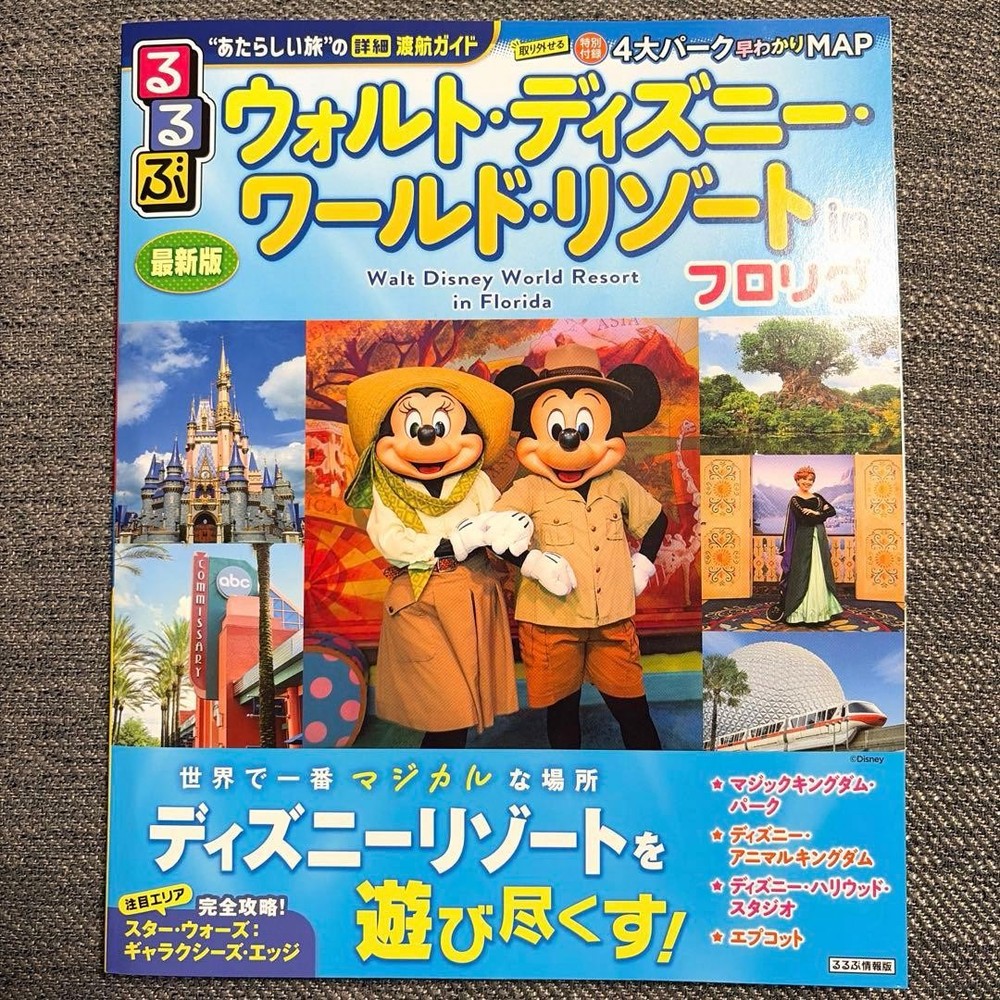 Walt Disney World Resort Florida Travel Guide Book