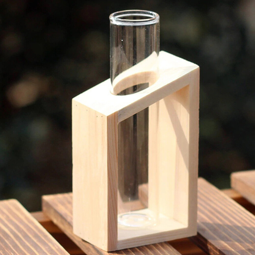 4 Pcs Glass Test Tube Vase for Plant Propagation Desktop Flower Pot