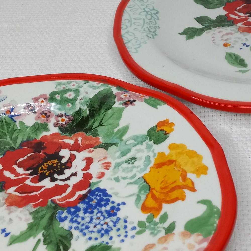 2 Pioneer Woman Country Garden Floral 8.5 Inch Salad Plates (As Is See Photos)
