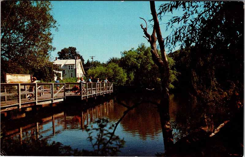 Postcard PIER SCENE Rehoboth Beach Delaware DE AO9321