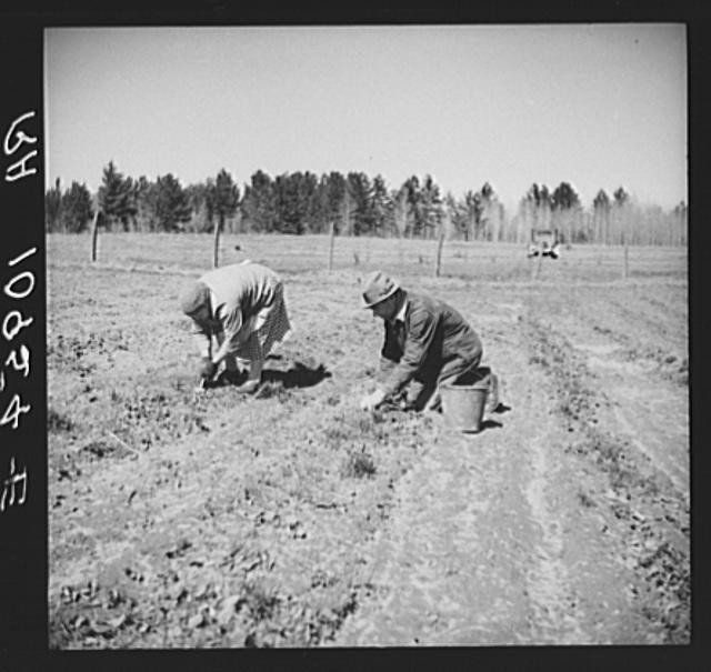 Mansfield,Michigan,MI,Iron County,Farm Security Administration,1937,FSA,4