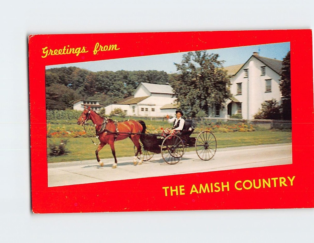 Postcard Greetings from The Amish Country Pennsylvania USA