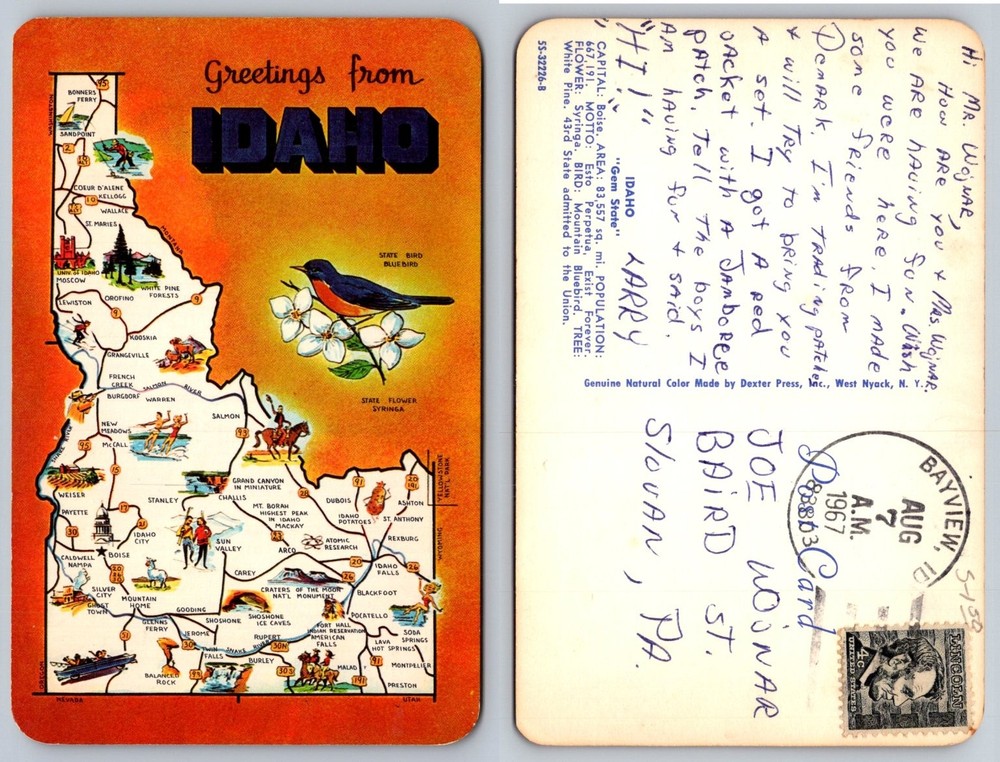 Vintage Greetings from Idaho Map Postcard Bluebird Syringa 1967 Dexter Press