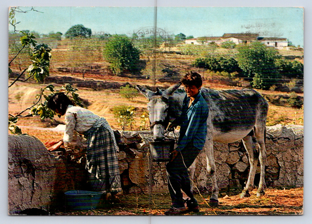 Vintage Postcard Algarve Portugal Country Scene