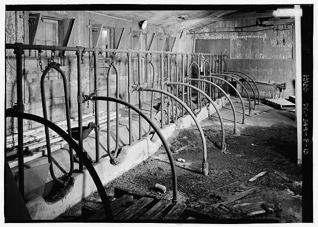 Washington DC St Elizabeths Hospital Cow Barn 2005 Concrete Trough Stanchions