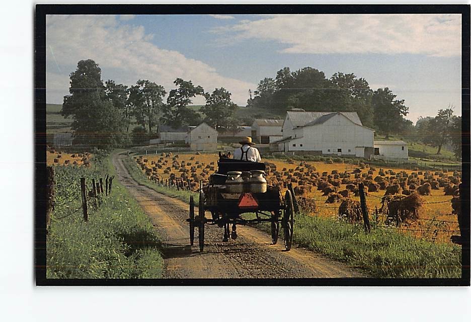Postcard The milk hack Ohios Amish Country Ohio USA