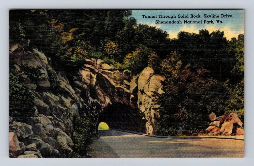 Shenandoah National Park, Skyline Drive, Antique Vintage Souvenir Postcard