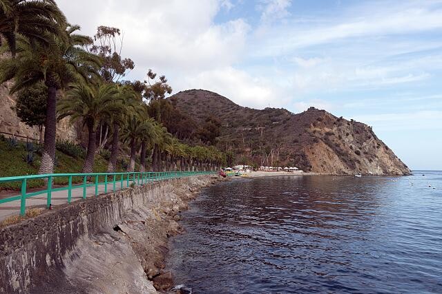 Photo:Santa Catalina Island California 2013 Rocky Coastline Palm Trees