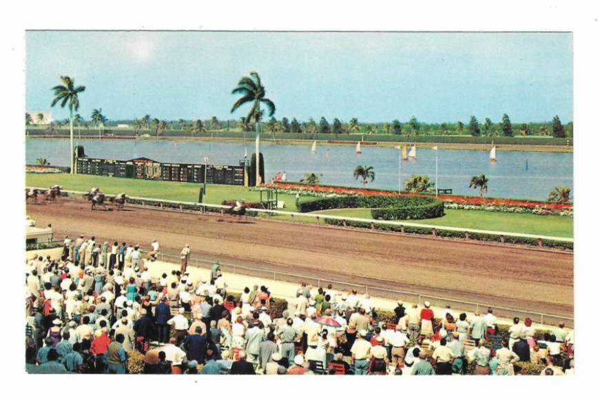 Gulfstream Park Horse Racing Hallandale Florida - chrome postcard