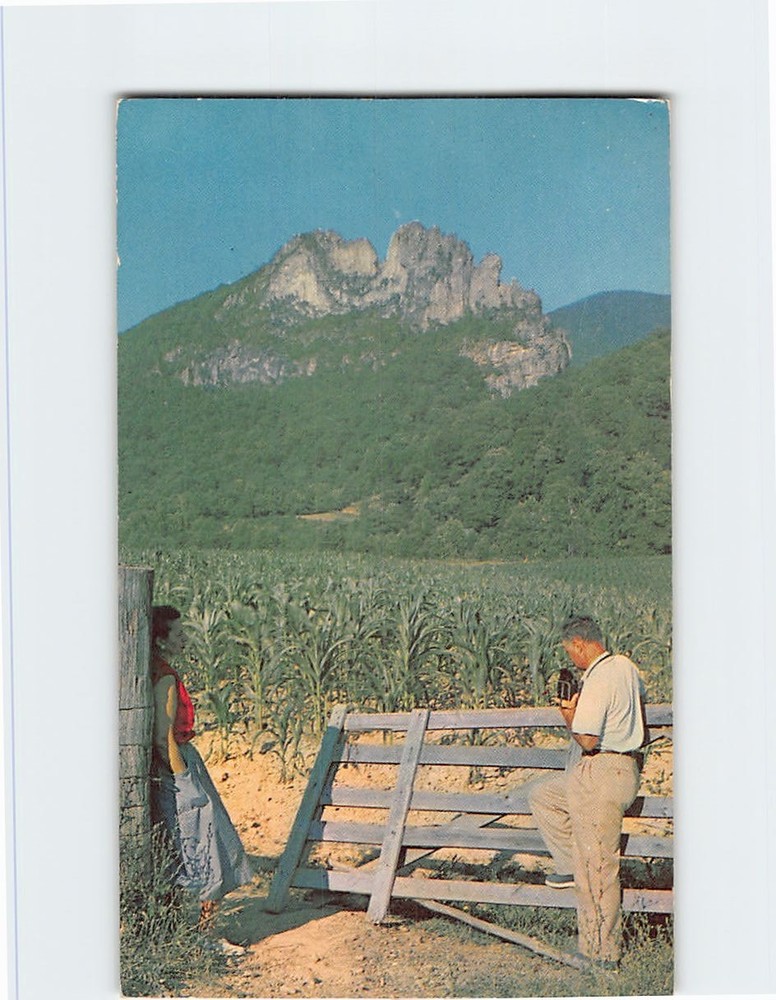Postcard Seneca Rocks West Virginia USA