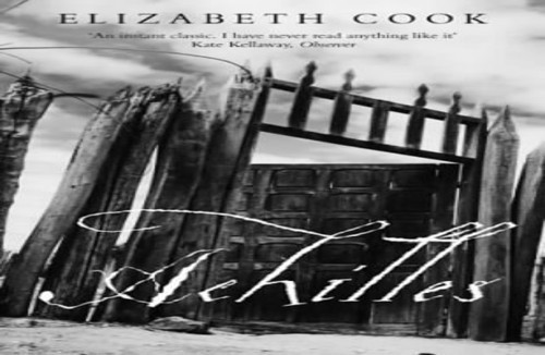 Achilles by Cook, Elizabeth 0413771393 The Fast Free ShippingFREE US DELIVERY | ISBN: 0413771393 | Quality Books-image