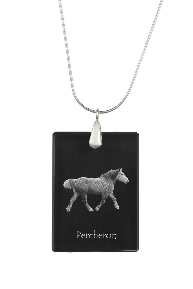Percheron - Crystal Pendant With Horse, Silver Necklace With Photo, Personalised