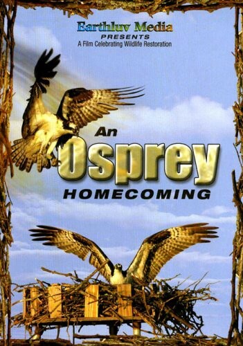 Osprey Homecoming New DVD Wildlife Nature Documentary