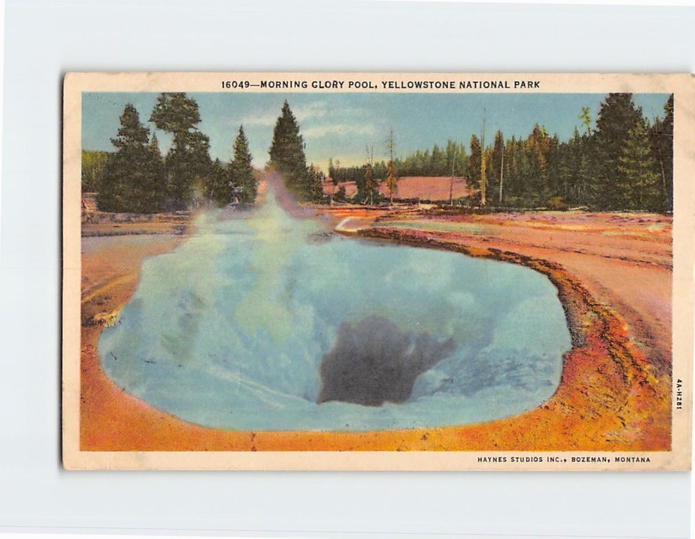 Postcard Morning Glory Pool Yellowstone National Park Wyoming USA
