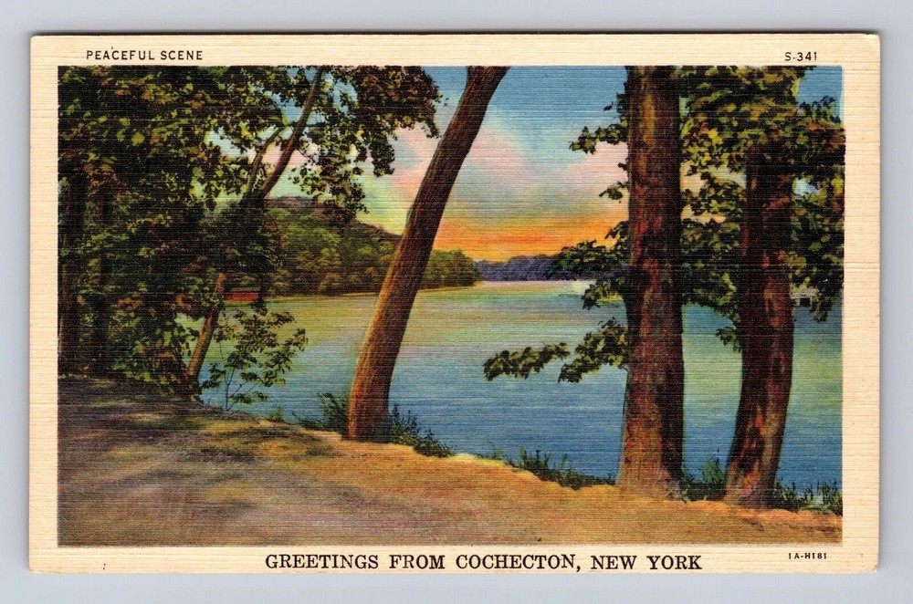 Cochecton NY-New York, Scenic General Greetings Peaceful Scene Vintage Postcard